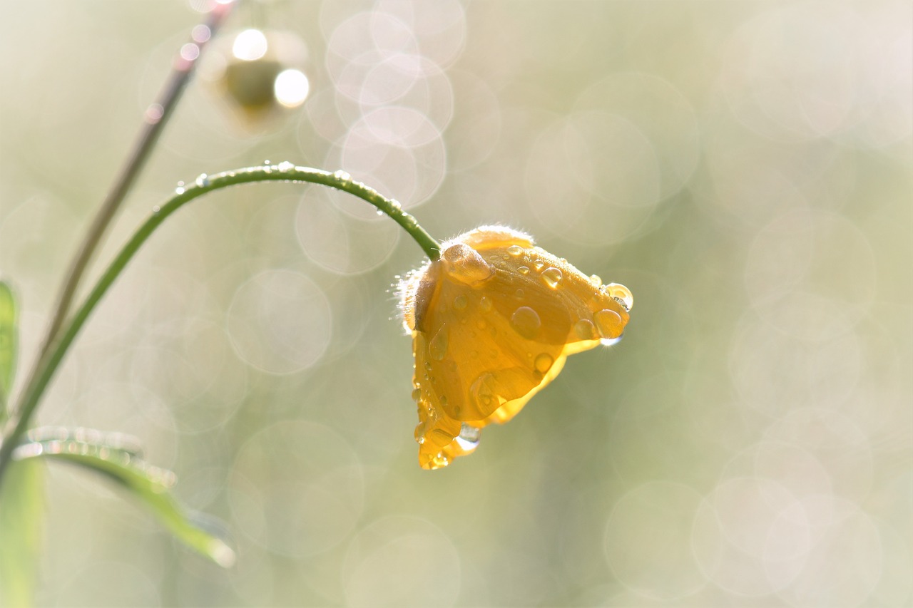 小伙花十几万断骨增高致终身伤残，盲目追求完美的代价与反思