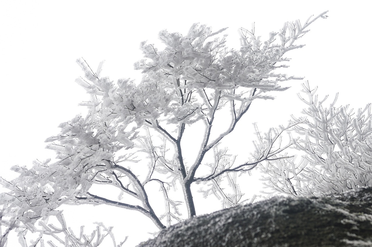 穿越千年的江南烟雨，探访古镇的宁静与繁华