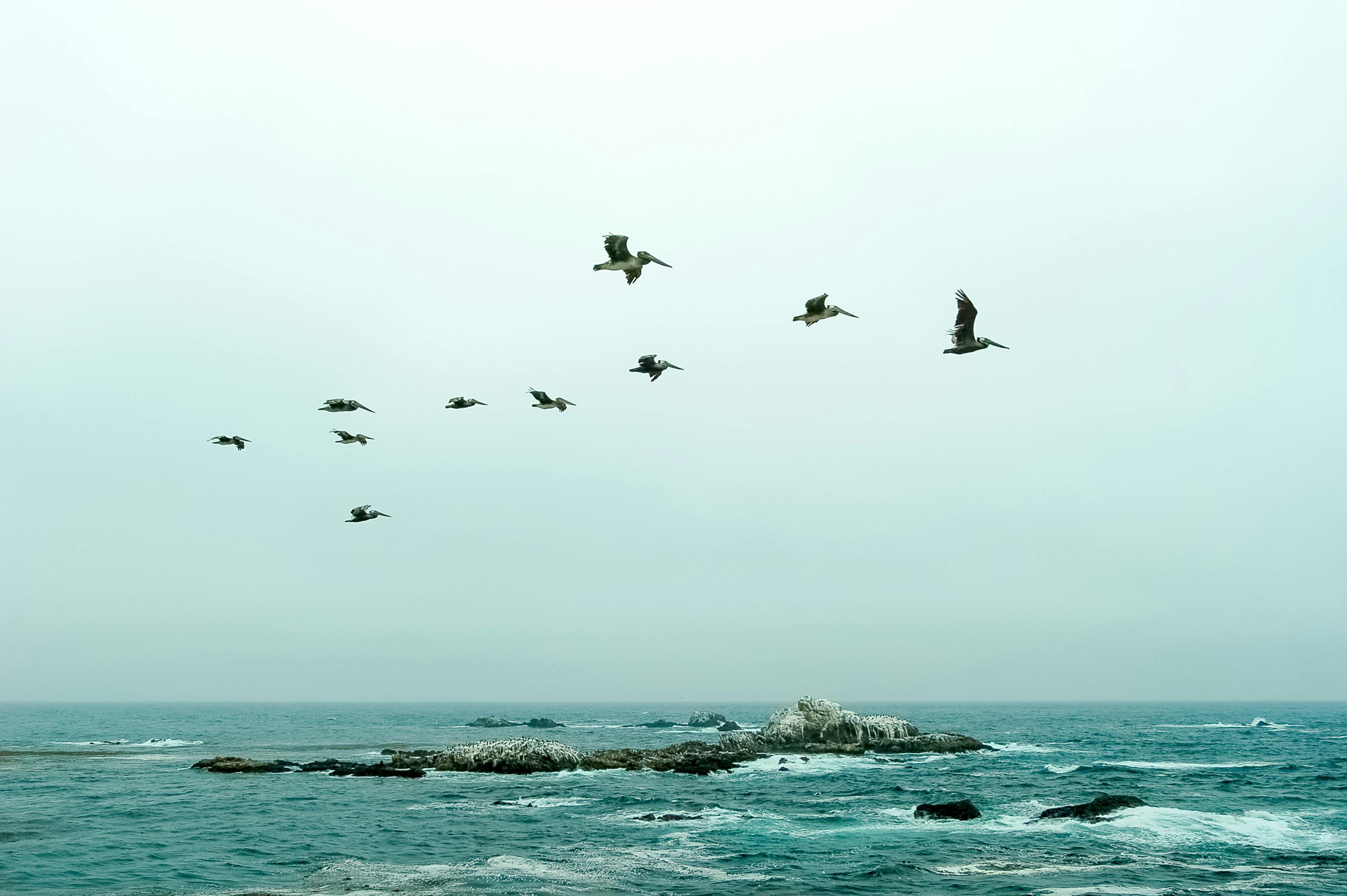 南海明珠，普陀圣境，一场寻找心灵静谧的海上修行之旅