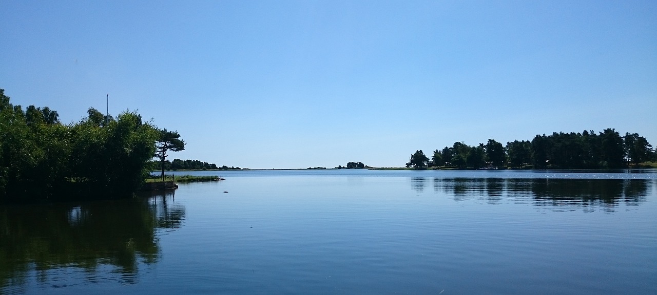 深圳碧海湾公园，绿色生态的海洋之心，城市的休闲绿洲