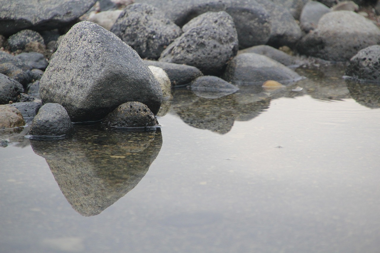 虾头里的线状物是寄生虫？假