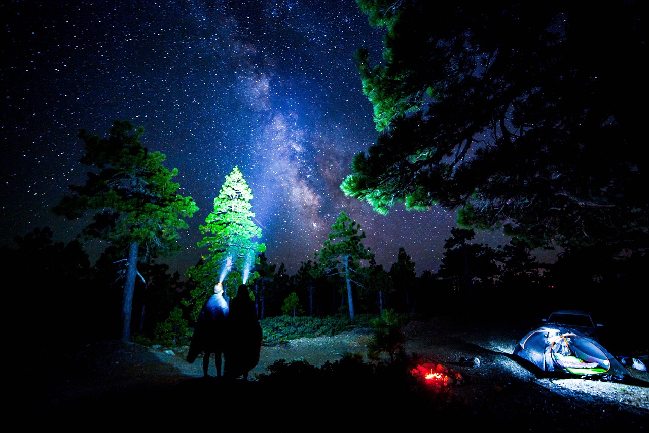 洛克王国，爆焰飞龙的崛起与挑战——揭秘神秘生物的生态与冒险旅程