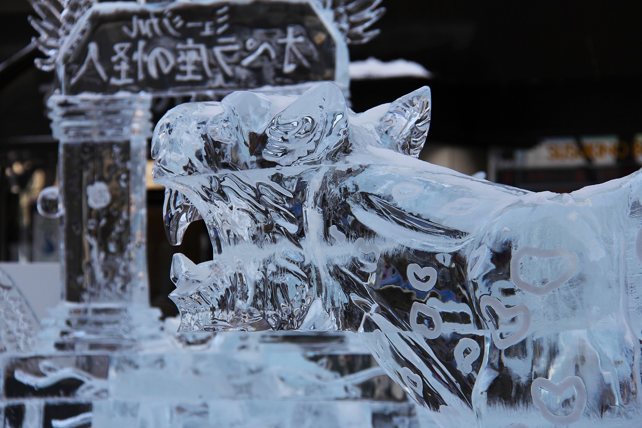 北海道冬日奇遇记，探索日本雪国的无尽魅力