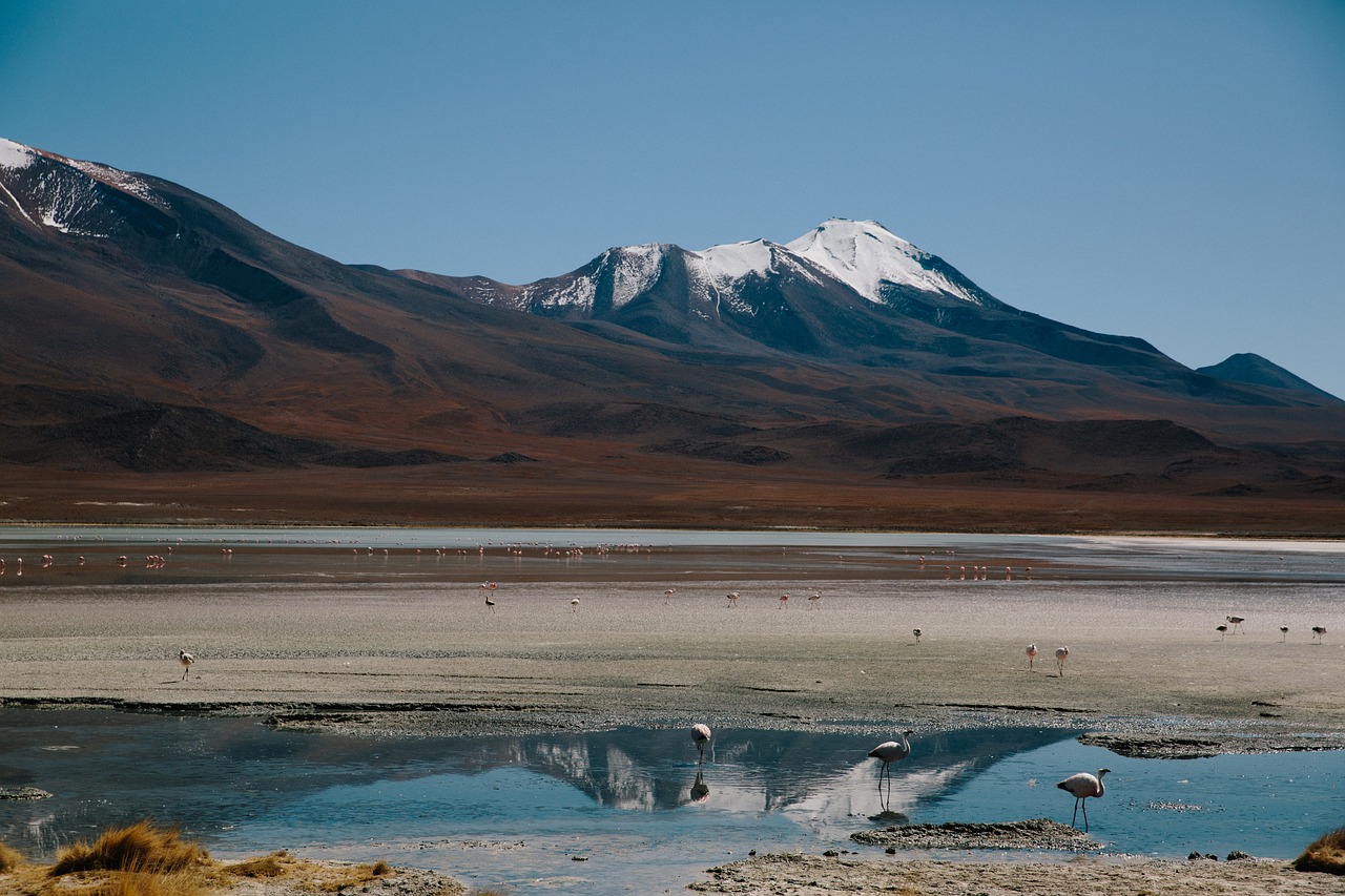 深度探索西宁，自驾游还是包车旅行？一次独特的西宁旅游指南