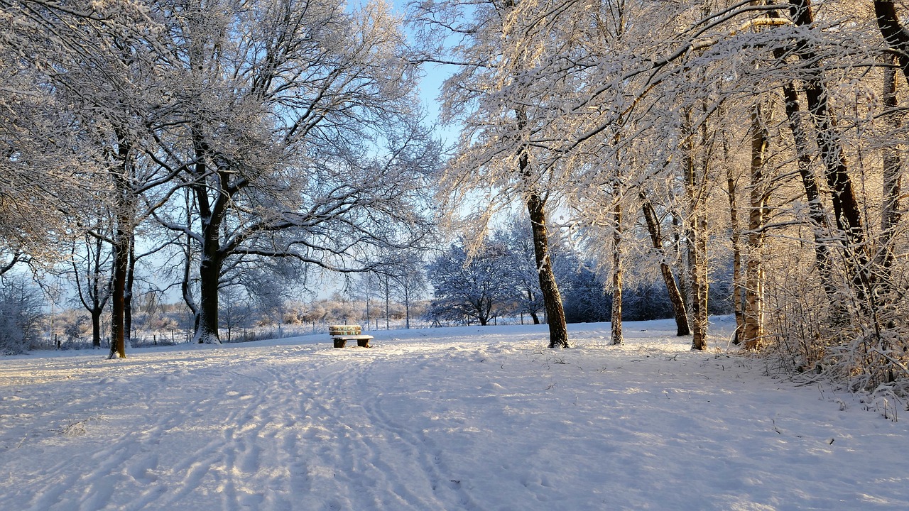 冰雪奇缘里的梦幻精灵——洛克王国雪天娃娃，冬日里的温暖魔法